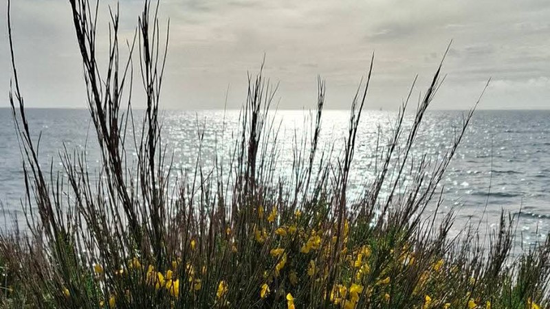 Témoignage de Madeleine -Concarneau - le 17 avril 2026