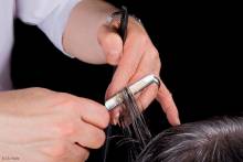 Nos prestations sur le secteur de Rennes